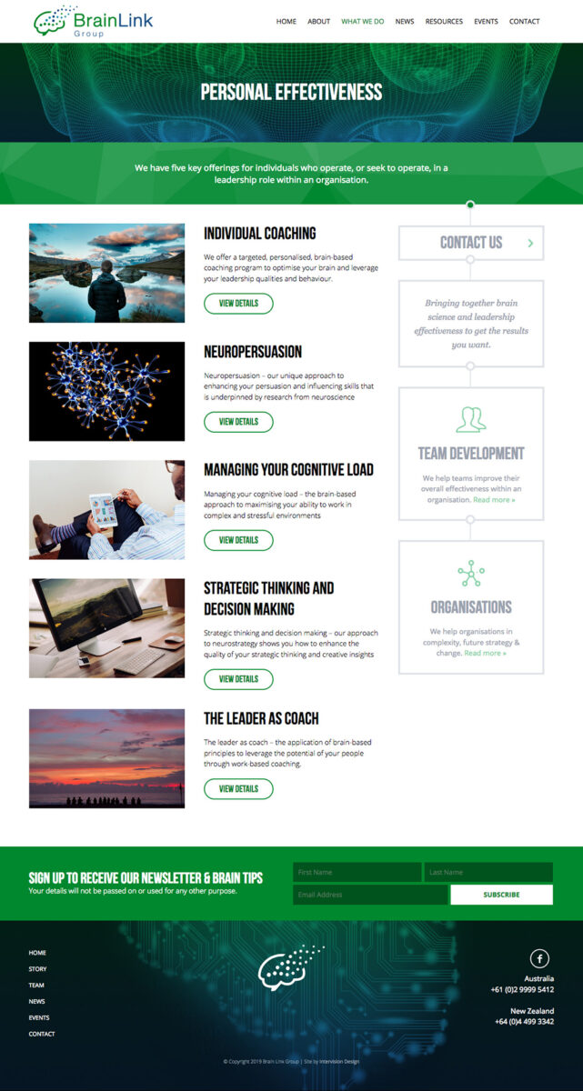 brainlink corporate website by intervision design