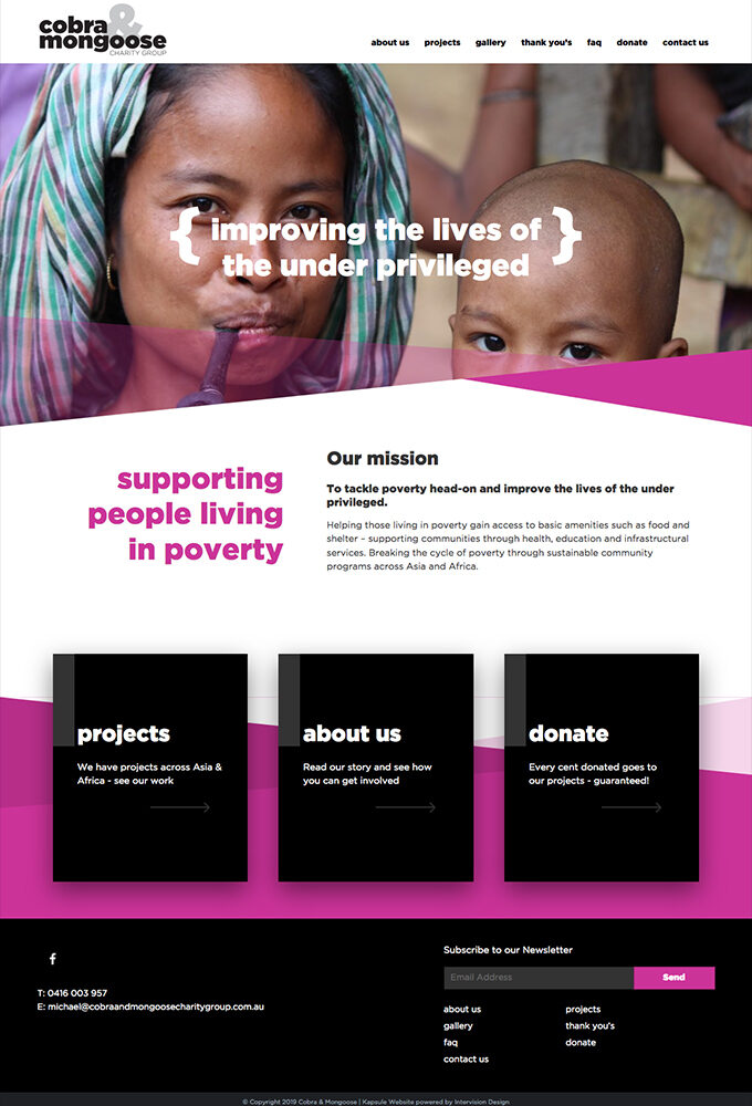 cobra and mongoose charity website by intervision design