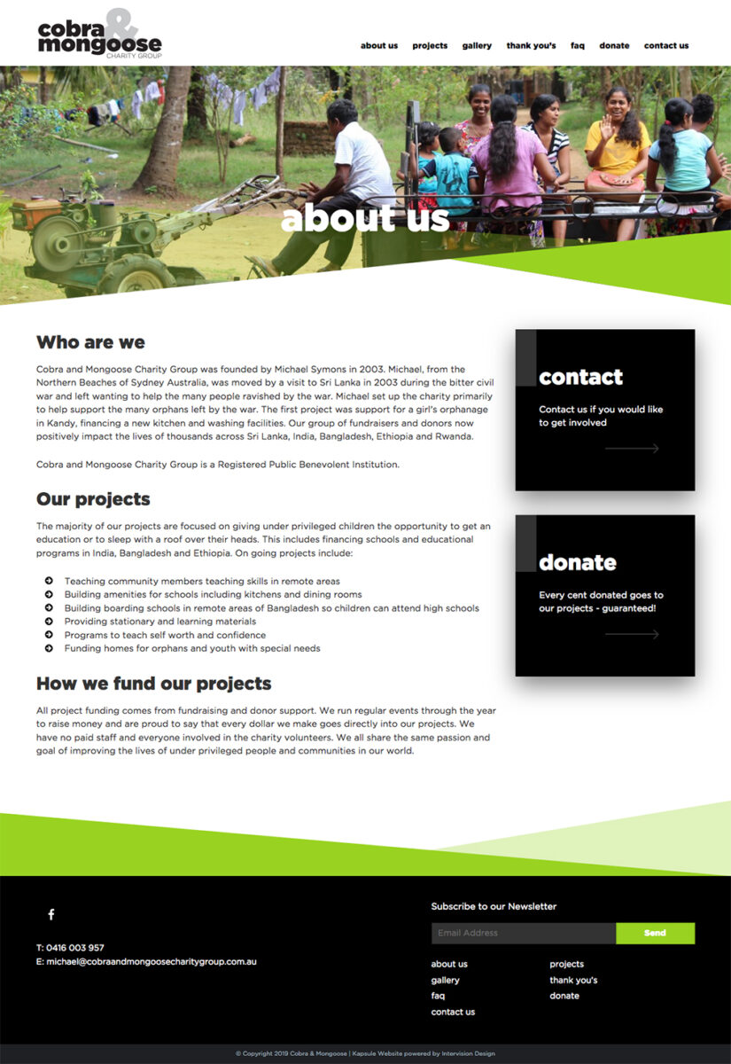 cobra and mongoose charity website by intervision design