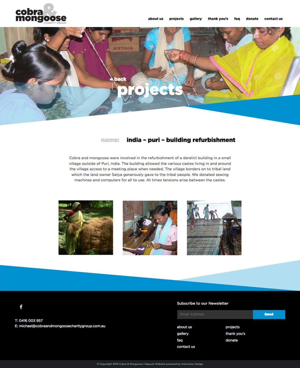cobra and mongoose charity website by intervision design