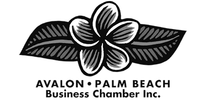 Avalon Chamber website by intervision design