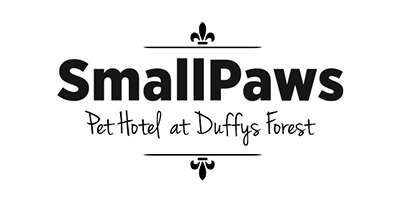 small paws pet hotel website by intervision design