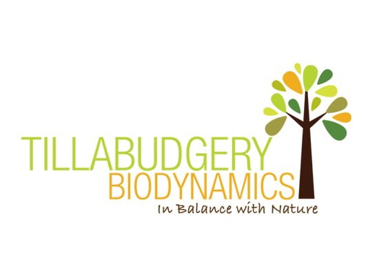 tillabudgery logo design by intervision design