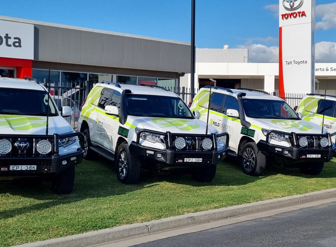 car graphics by intervision design